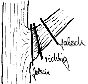 gartentipps februar astschnitt
