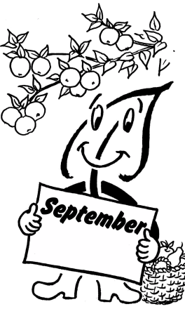 Gartentipps im September