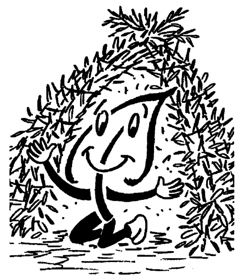 Wir bauen eine Weidenhütte