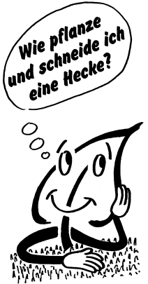 Heccken pflanzen und schneiden