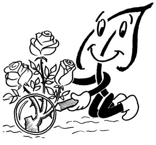 Die Kunst des Rosenveredelns