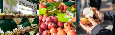 Apfelmarkt 2024 Obstsortenausstellung