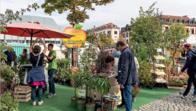 Apfelmarkt Aschaffenburg