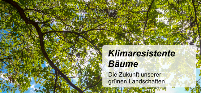 Klimaresistente Baeume