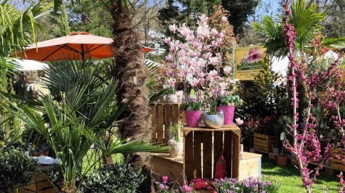 GartenLust Schloß Kreuzwertheim 2026