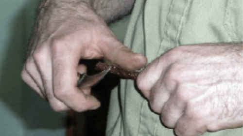 Veredlungskurs am 26. Februar 2027