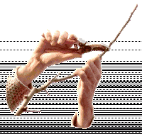 Klicken um zu vergrößern Schnittkurs