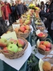 Apfelmarkt 2012_29