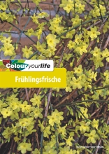 Colour your life - Frühlingsfrische