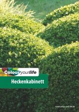 Colour your life - Heckenkabinett